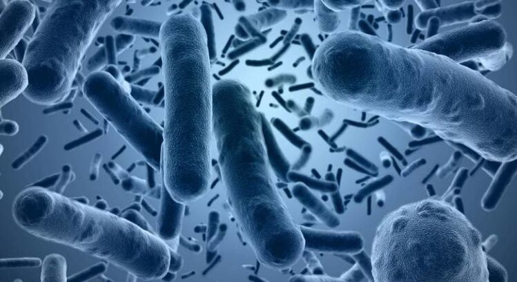 Bacterias que causan el desarrollo de prostatitis infecciosa aguda.